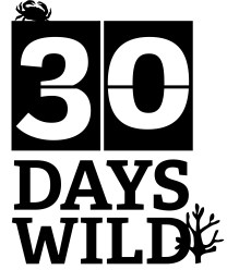 30DAYSWILD_ID3 black
